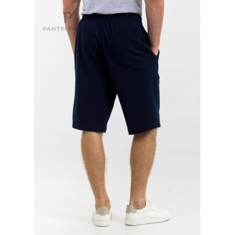 Шорты  мужские       трикотажные       синие