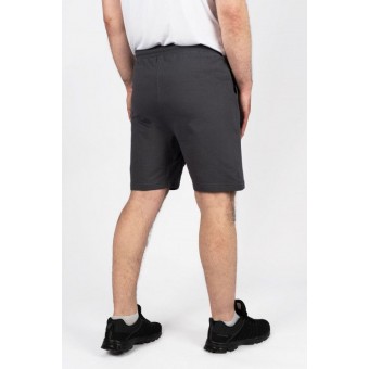 Шорты  мужские              серые