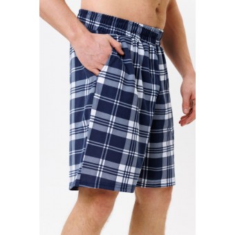 Шорты  мужские       трикотажные       Белый, Синий   Kuzina Одежда