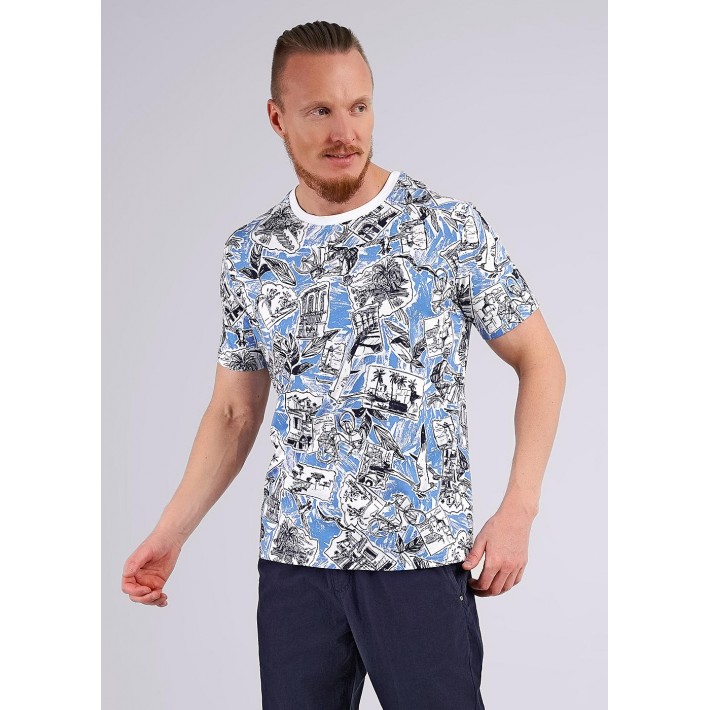 Футболка мужская трикотажная разноцветная