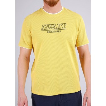 Футболка  мужская       трикотажная       желтая