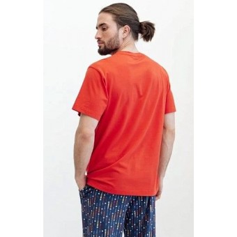 Футболка  мужская       из кулирки       оранжевая  Принт Melado