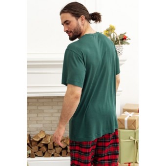 Футболка  мужская       трикотажная       зеленая  Принт Melado  