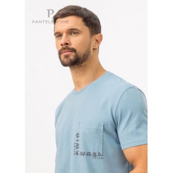 Футболка  мужская       из кулирки       голубая