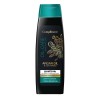 875245 Compliment ARGAN OIL & CERAMIDES Шампунь для сухих и ослабленных волос, 400мл