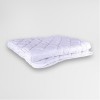 Одеяло 140х205 1,5 спальное из микрофибры 250 г/м2 бамбук NatureS