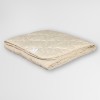 Одеяло    172х205 см 2 спальный 200 г/м² из микрофибры, льняное волокно AlViTek  