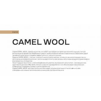 Подушка     для сна 70х70   из тика      FlexSoft Huvis, полиэстер, шерсть верблюжья    MOYЁ HOME