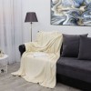 Плед универсальный 200х220 евро из велсофта 260 г/м2 TexRepublic