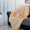 Плед универсальный 200х220 евро из велсофта 260 г/м2 TexRepublic