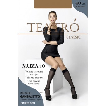 Гольфы Teatro Muza 40 daino 2 пары