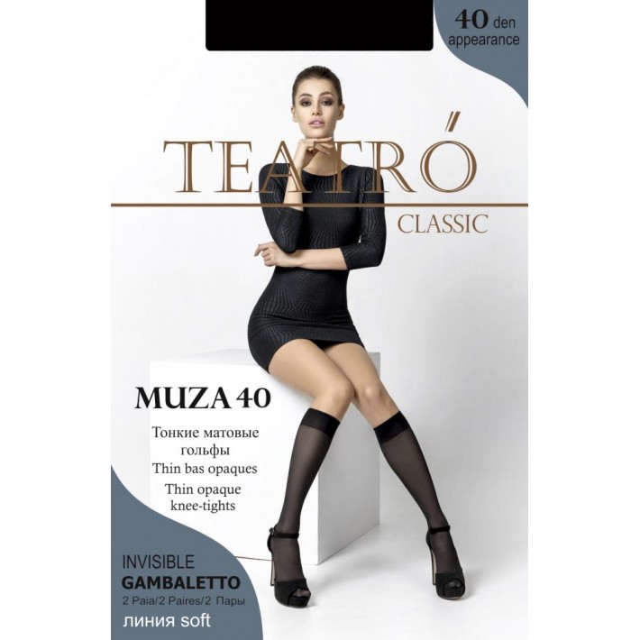 Гольфы женские 40 ден капроновые Teatro