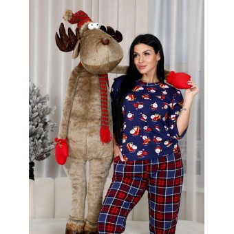 Костюм  женский       из кулирки    кофта с брюками