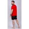 Костюм мужской из кулирки футболка с шортами красный